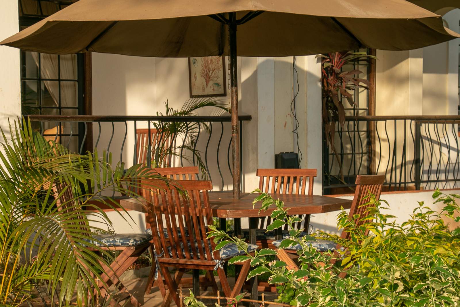 The Cape House - Gallery 35