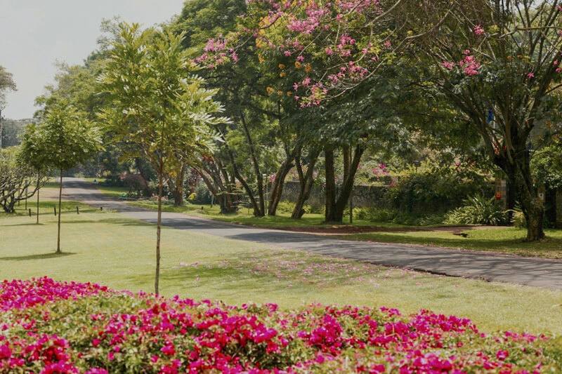 The Sanctuary - Gallery 2