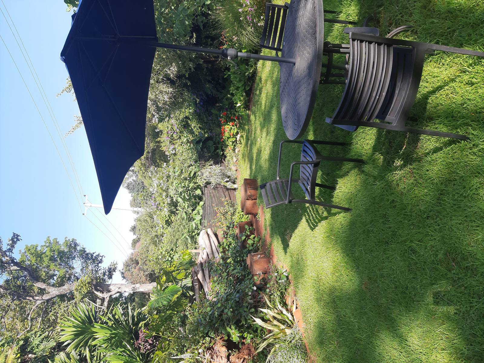 The Hedge - Gallery 8