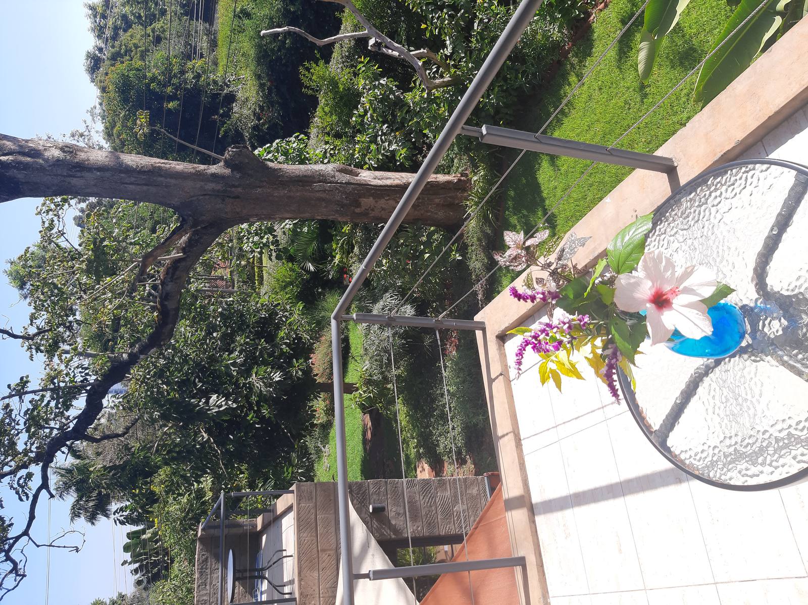 The Hedge - Gallery 4