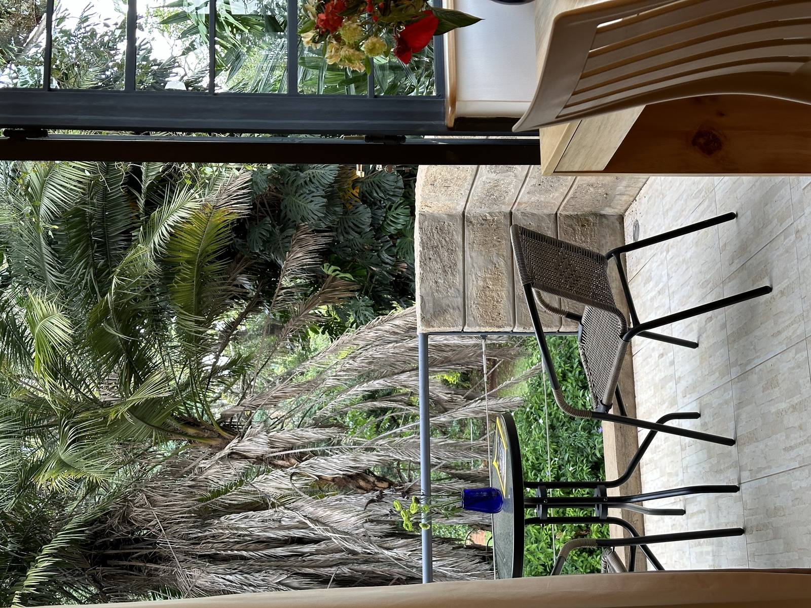 The Hedge - Gallery 15