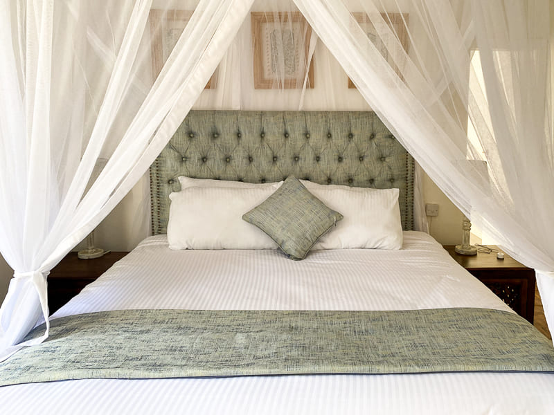 Aberdare House - Garden View