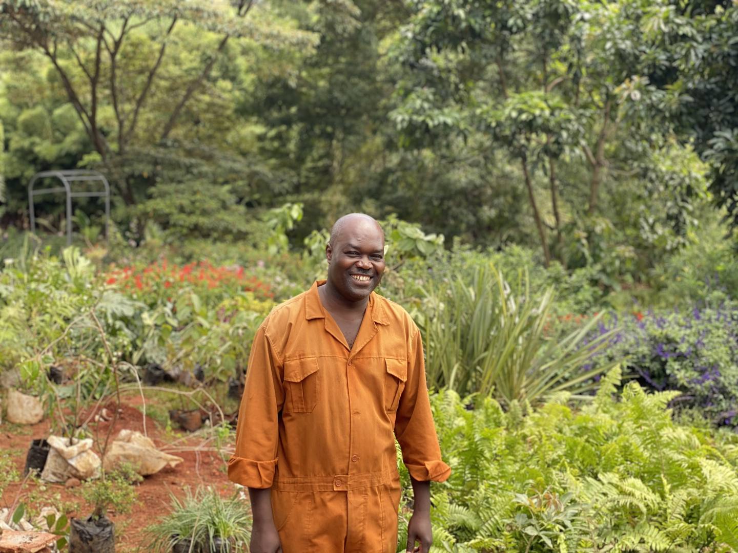 Fresh blooms at Maarifa (Shamba)