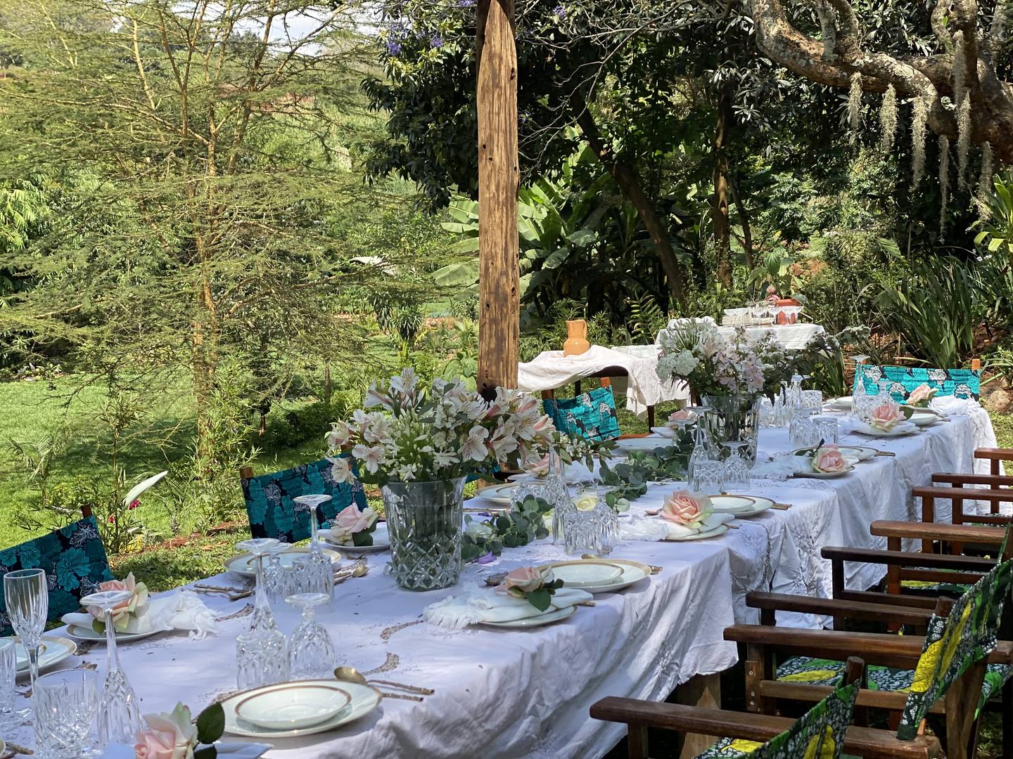 Morning light in the Maarifa gardens (Shamba)