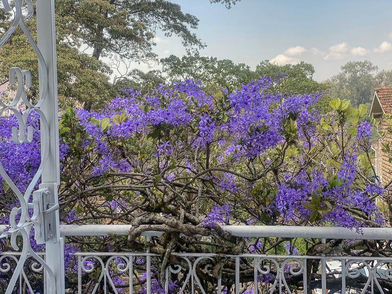 Petrea Cottage - Gallery 22