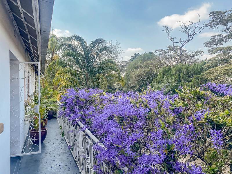 Petrea Cottage - Gallery 24