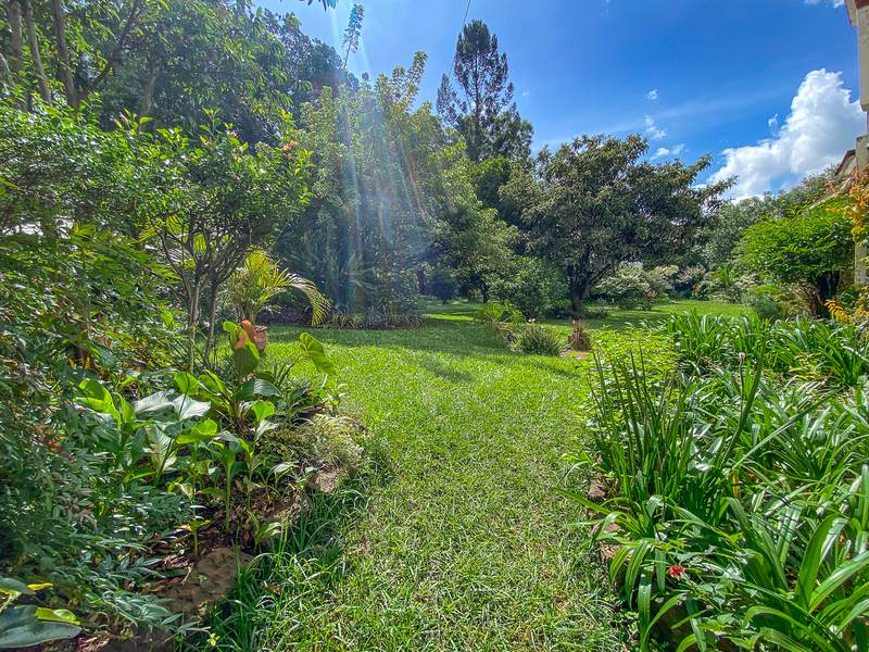 Petrea Cottage - Gallery 35