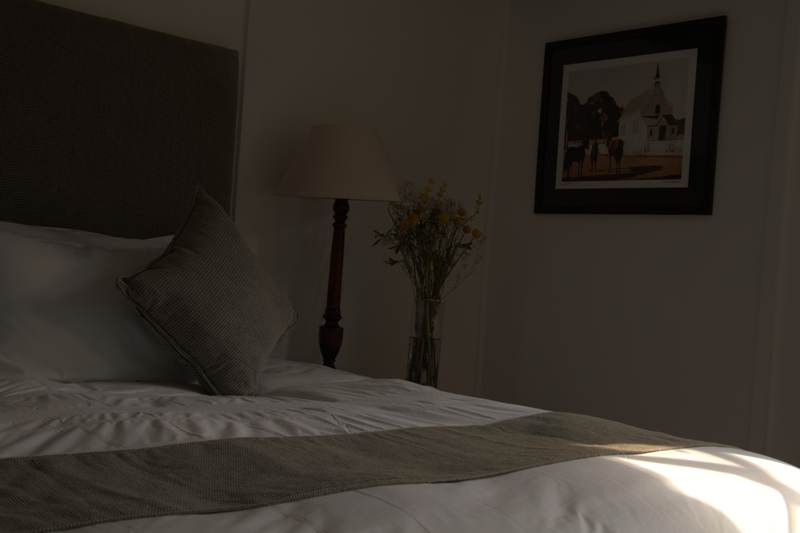 The Cape House - Gallery 23